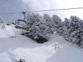 IMG_4611.JPG