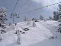 IMG_4612.JPG