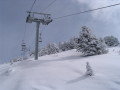 IMG_4613.JPG