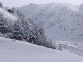 IMG_4616.JPG