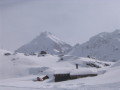 IMG_4617.JPG