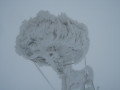 IMG-0022.JPG
