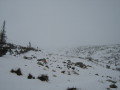 IMG-0033.JPG