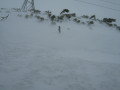 IMG-0051.JPG