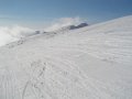 DSC00985.JPG