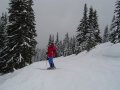 DSC01008.JPG