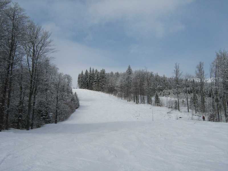 IMG-6425.jpg
