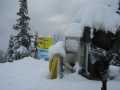 IMG-6390.jpg