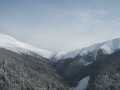 IMG-6436.jpg