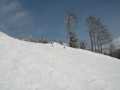 IMG-6437.jpg