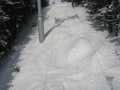 IMG-6439.jpg