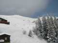 IMG-6444.jpg