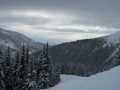 IMG-6447.jpg