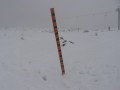 IMG-6681.JPG