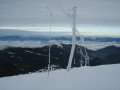 IMG-9090.JPG