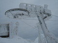 IMG-9099.JPG