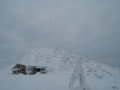IMG-9110.JPG