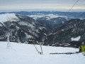 IMG-9115.JPG