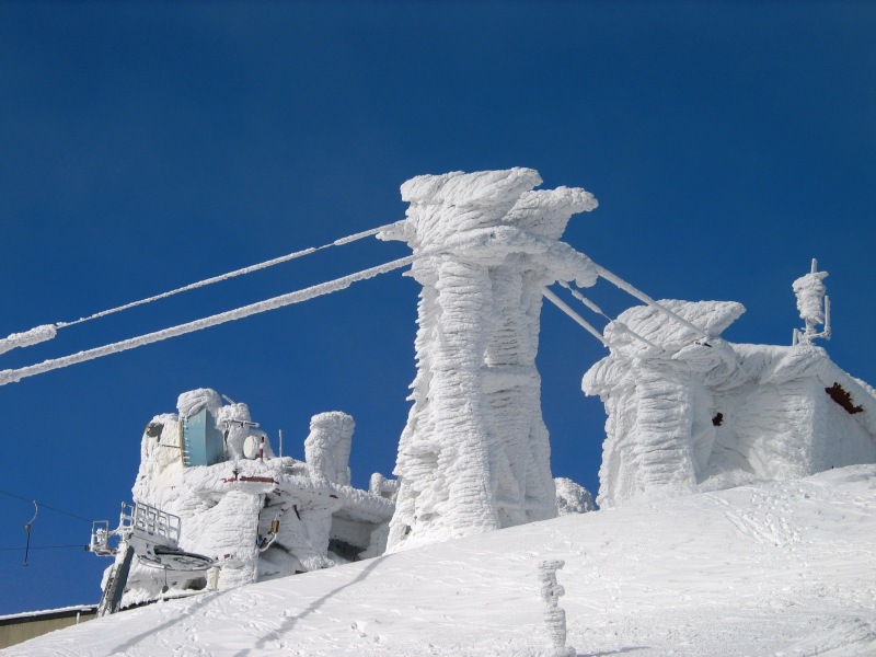 IMG-0313.jpg