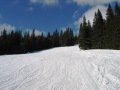 IMG-0332.jpg