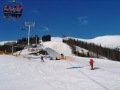 IMG-0338.jpg