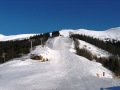 IMG-0736.jpg