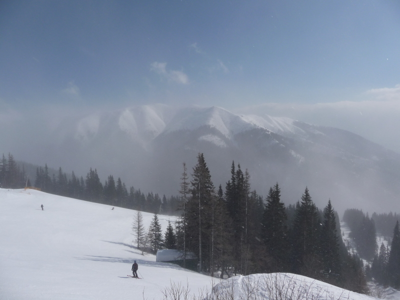 P1010313.JPG