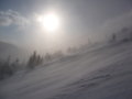 P1010328.JPG