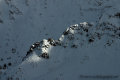 CRW-4979-1.jpg