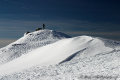 CRW-5054-1.jpg