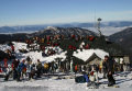 IMG-5146.JPG