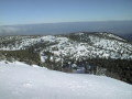 PIC00095-resize.jpg