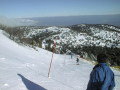 PIC00097-resize.jpg