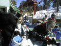 PIC00105-resize.jpg