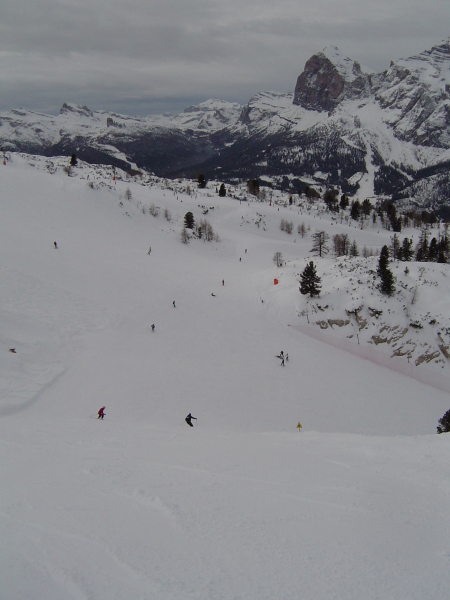 Faloria