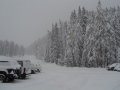 DSC02486.JPG
