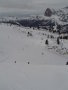 Faloria
