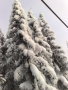 20091217106.jpg