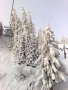 20091217107.jpg