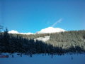 DSC00971.jpg