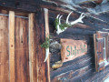 DSCF2741.jpg