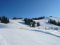 P1050165.JPG