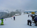 P1050200.JPG