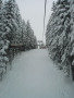 P1050203.JPG