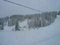 P1050204.JPG