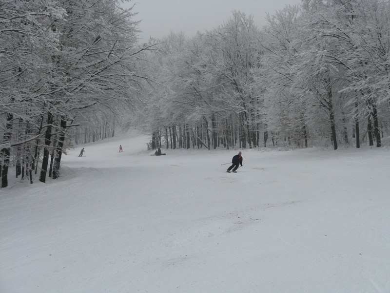 IMG-1192.JPG