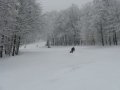 Dobog�k� 2010. febru�r 13-�n&nbsp;(14 k�p)
