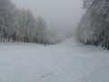 IMG-1203.JPG