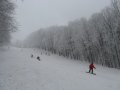 IMG-1207.JPG