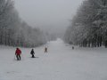 IMG-1226.JPG